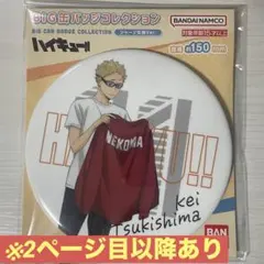 【翌日発送可】ハイキュー!!月島蛍 BIG缶バッジ カードセット
