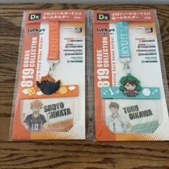 ハイキュー!! ネームホルダー 日向翔陽 及川徹 2種セット