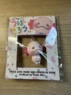 2025年最新】うぱごろう キーホルダーの人気アイテム - メルカリ