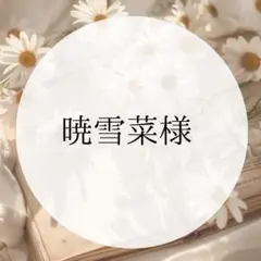 専用ページ
