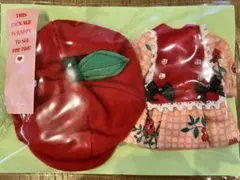 ネオブライス　作家様作品アウトフィット　新品未使用