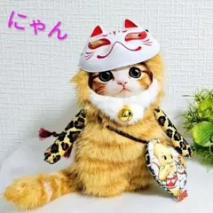綿ぷっくり茶トラちゃん コヤンイサムチョン マロン ヌビふっくら