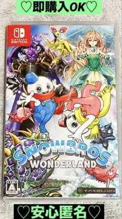 【新品購入❤️】任天堂スイッチスノーブラザーズメンズ⭐️痛快アクション（動作確認⭕️）