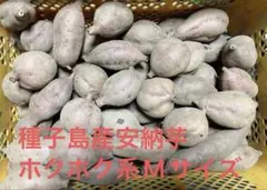 種子島産安納芋紅ホクホク系Mサイズ5.2kg入り
