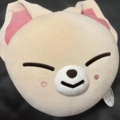 Straykids アイエン フォクシニー SKZOO フェイス クッション
