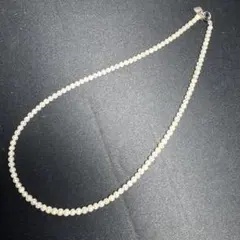 天然！真珠 ネックレス 直径約3.9mm