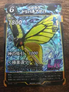 ゴクラクトリバネアゲハ