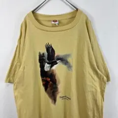 USA製 90s ルーニーテューンズ Looney Tunes Tシャツ