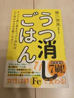 うつ消しごはん 藤川徳美著