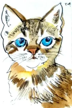 No1770ドローイング水彩画隣の子猫