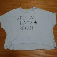 くすんだ水色Tシャツ