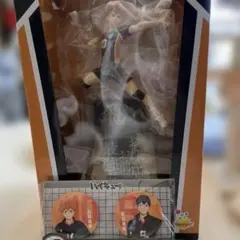 ハイキュー‼︎　ハッピーくじ　フィギュア　缶バッジ　日向翔陽　影山飛雄