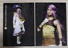 刀ミュ 蜂須賀虎徹 真剣乱舞祭 2018 ブロマイド ライブ