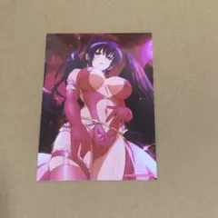 ハイスクールd×d 姫島朱乃　ブロマイド