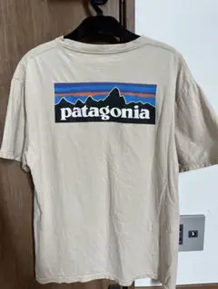 patagonia オーガニックコットン Tシャツ L
