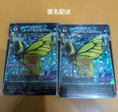 ゴクラクトリバネアゲハ