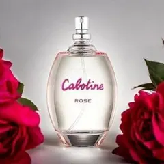 GRES Cabotine ROSE オードトワレ 100ml - メルカリ