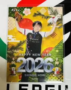 ＊ことり＊ぽよ推し☆様 リクエスト 2点 まとめ商品