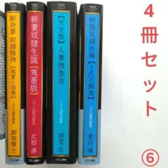 ⑳フランス書院文庫【破滅の教壇】ほか　小説全30冊セット 官能小説4冊セット フランス書院文庫｜Yahoo!フリマ（旧PayPay