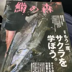 2026年最新】鱒の森の人気アイテム - メルカリ