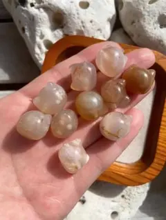 Item thumbnail for item 12f82fad-6c4b-4954-bdfd-4c8cabb0dacd