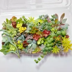 たぴ 【プロフ必読/即購入OK】様 リクエスト 3点 まとめ商品