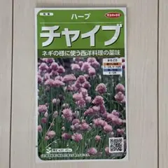 サカタのタネ ハーブ チャイブ 種