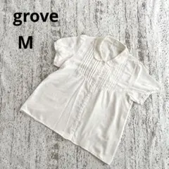 グローブ 半袖 レース襟 ブラウス M オフホワイト ピンタック 刺繍 透け感のサムネイル