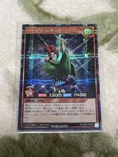 トムトム様 リクエスト 2点 まとめ商品