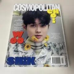チェウシク COSMOPOLITAN 韓国 雑誌