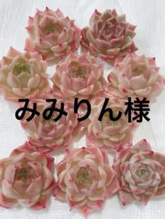 みみりん様 リクエスト 3点 まとめ商品