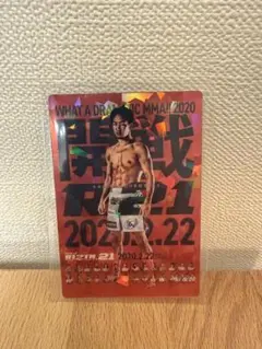 【No.8】 RIZINポテトスティック ポストカードコレクション 朝倉未来