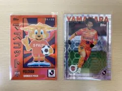 清水エスパルス スポーツカード