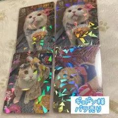 【バラ売り可】にゃんずトレカ 渋谷公園通り店 2026 夏 わくわく夏祭り バラ売り可】 にゃんずトレカ 渋谷公園通り どきどきバレンタイン 2026