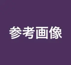 参考画像