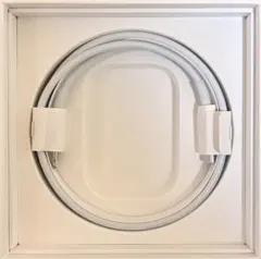 【早い者勝ち/新品】Apple純正/TypeC-Lightning