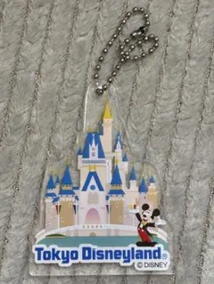 2025年最新】東京ディズニー非売品の人気アイテム - メルカリ