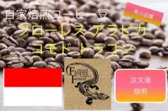 専用ページ希少品種フローレスアラビカ コモド ドラゴン300g、他1500g 注文後焙煎)希少品種フローレスアラビカ コモド ドラゴン300g - メルカリ