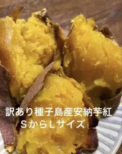訳あり種子島産安納芋紅5kg入り