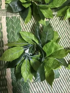 Item thumbnail for item 05e1d8c5-8dd0-4fb6-a620-76dc4b18b02b