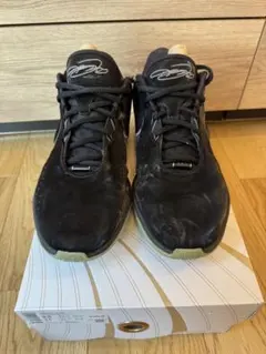 NIKE LEBRON 21 32cm シダスインソールセット - メルカリ