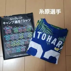 阪神タイガース 沖縄キャンプ限定 シークレットTシャツ 糸原選手 新品未使用