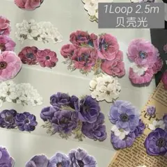 Item thumbnail for item 8831627f-9719-4cc1-a7c7-b35129c6517f