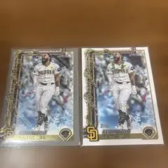 Fernando Tatis Jr. 　ホリデイ限定インサート