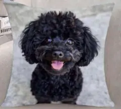 Item thumbnail for item bfafd405-a5c1-4642-8c8b-31e29ef39fb5