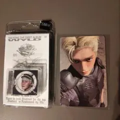 NCT テヨン WYLD Zine ver. 封入トレカ B - メルカリ