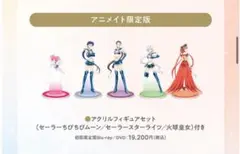 限定品 新品未開封品 劇場版セーラームーンCosmos アニメイト特典