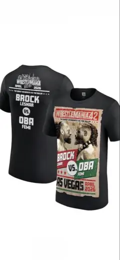 Lサイズ WWE Tシャツ ブロン・ブレイカー BADASS - メルカリ