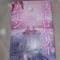 Item thumbnail for item aa1f323d-9cfc-4a45-a0d3-5f6042b91b1b