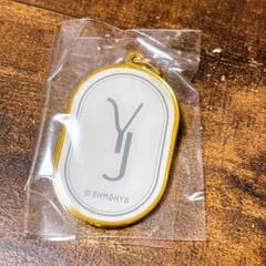 T×T ヨンジュン　チャーム　キーホルダー